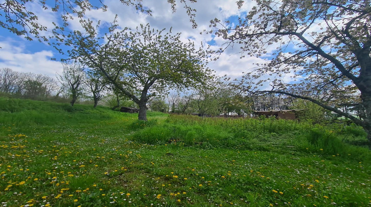 Ma-Cabane - Vente Terrain Voires, 1550 m²