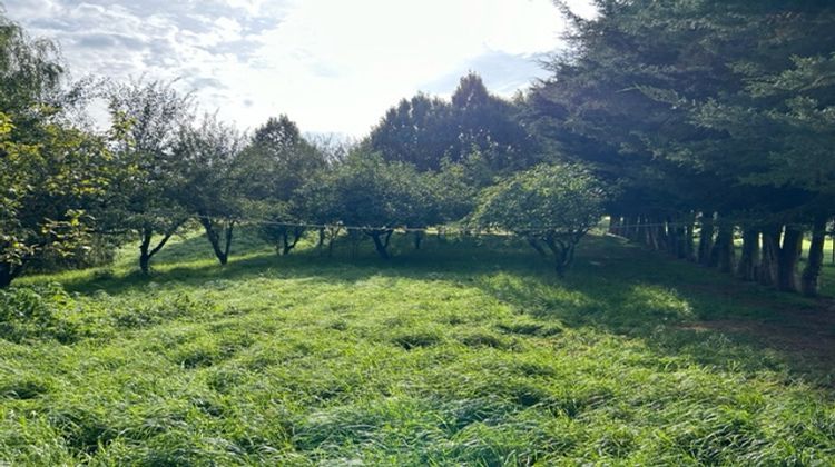 Ma-Cabane - Vente Terrain Volmerange-lès-Boulay, 10000 m²