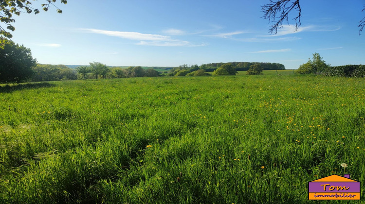 Ma-Cabane - Vente Terrain Volmunster, 0 m²
