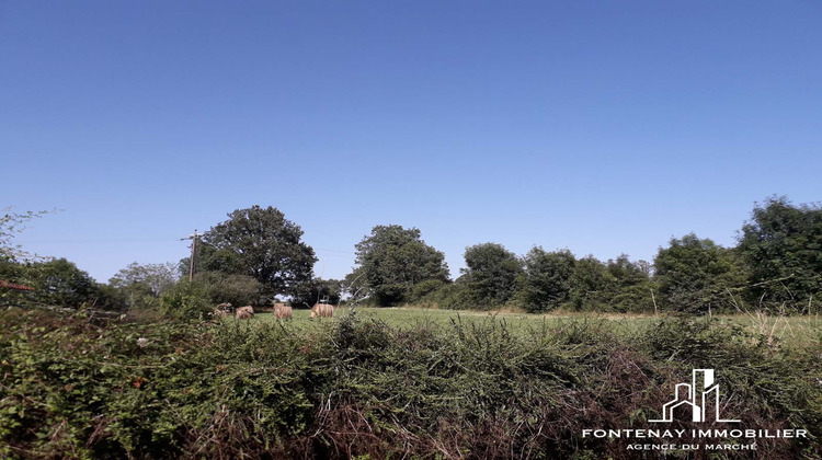 Ma-Cabane - Vente Terrain Vouvant, 2685 m²