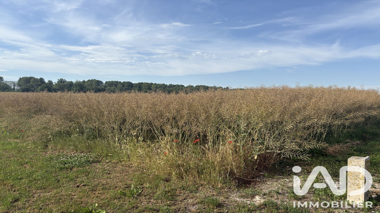 Ma-Cabane - Vente Terrain Vouzy, 900 m²