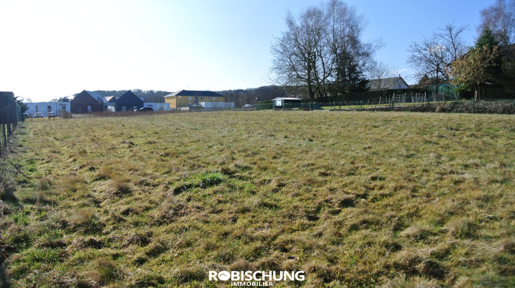 Ma-Cabane - Vente Terrain Waldighofen, 1662 m²