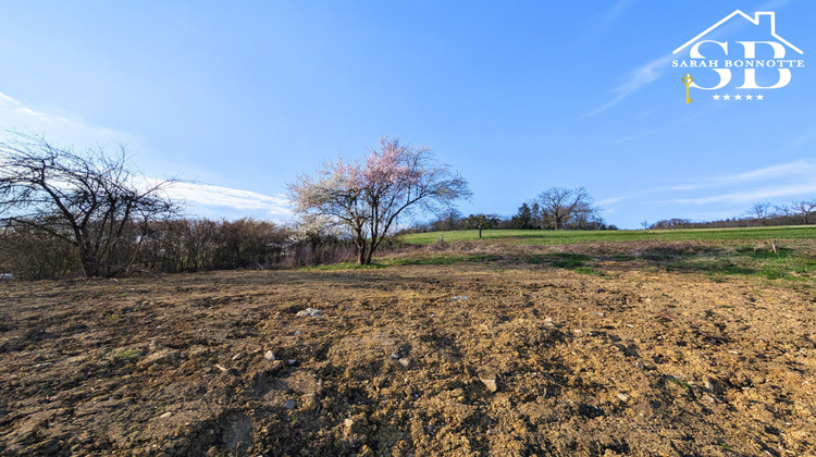 Ma-Cabane - Vente Terrain Waldighofen, 548 m²