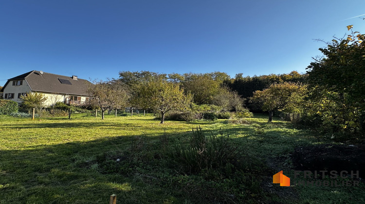 Ma-Cabane - Vente Terrain Walheim, 1811 m²