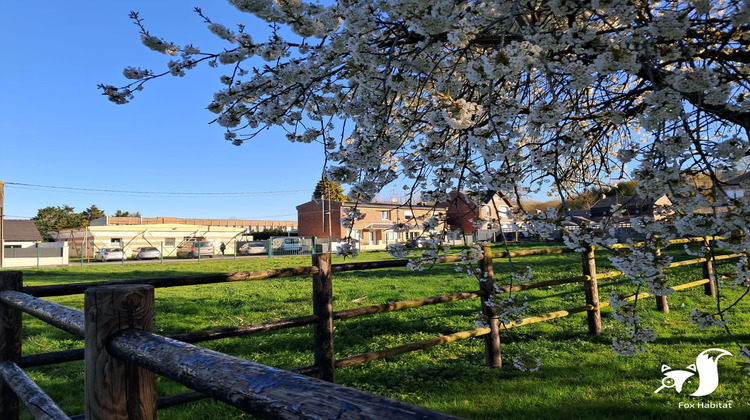 Ma-Cabane - Vente Terrain Walincourt-Selvigny, 850 m²