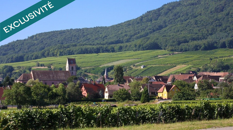 Ma-Cabane - Vente Terrain Westhalten, 527 m²