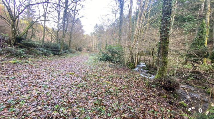 Ma-Cabane - Vente Terrain WILLER SUR THUR, 3197 m²