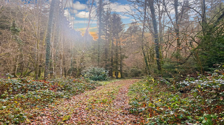 Ma-Cabane - Vente Terrain WILLER SUR THUR, 3197 m²