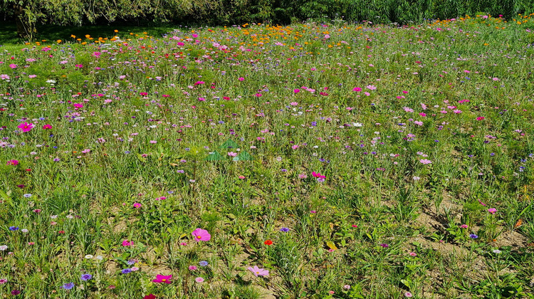 Ma-Cabane - Vente Terrain Winkel, 2086 m²