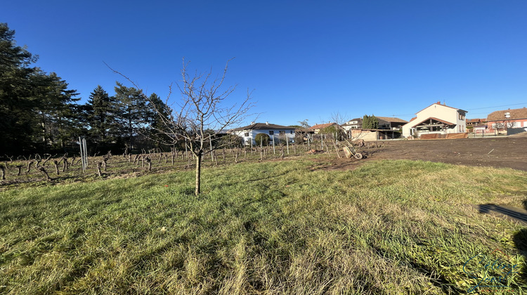 Ma-Cabane - Vente Terrain Wintzenheim, 779 m²