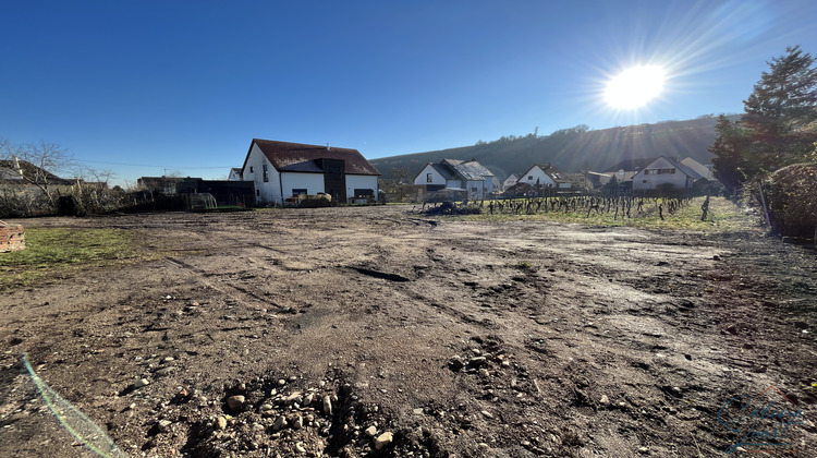 Ma-Cabane - Vente Terrain Wintzenheim, 779 m²