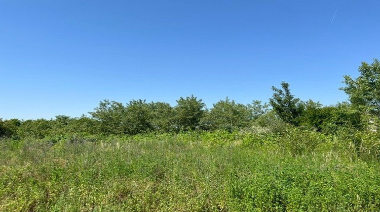 Ma-Cabane - Vente Terrain Wittelsheim, 423 m²