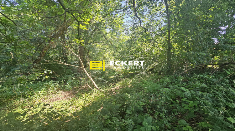Ma-Cabane - Vente Terrain Wolxheim, 1059 m²