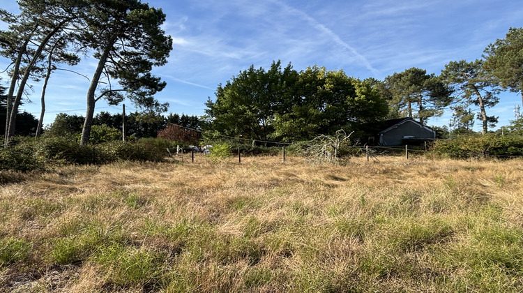 Ma-Cabane - Vente Terrain Ychoux, 10000 m²