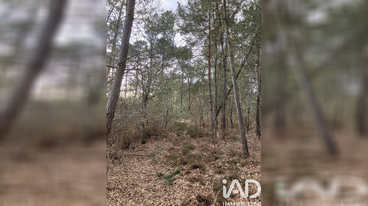 Ma-Cabane - Vente Terrain Yvré-le-Polin, 5213 m²