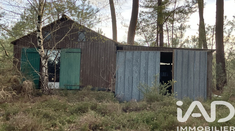 Ma-Cabane - Vente Terrain Yvré-le-Polin, 5213 m²