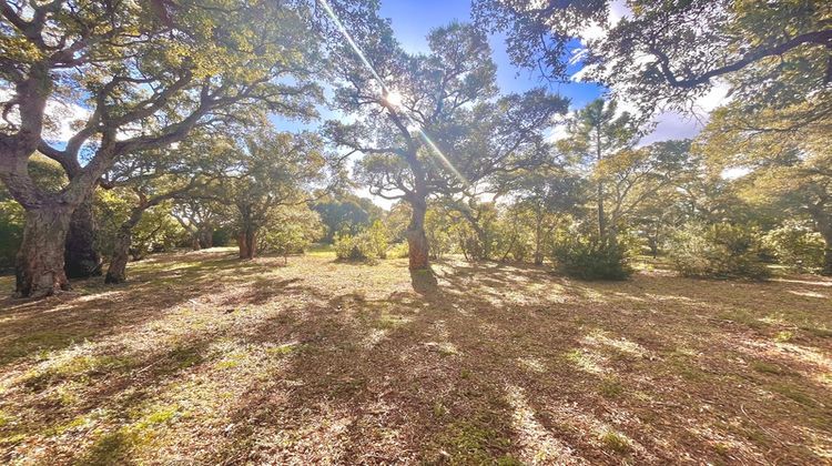 Ma-Cabane - Vente Terrain ZONZA, 16000 m²