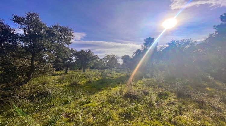 Ma-Cabane - Vente Terrain ZONZA, 16000 m²