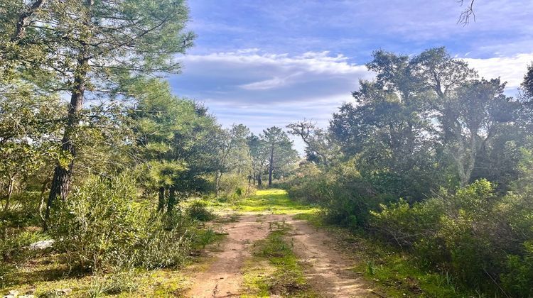 Ma-Cabane - Vente Terrain ZONZA, 16000 m²