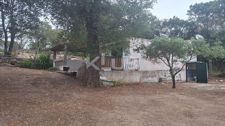 Ma-Cabane - Vente Terrain ZONZA, 5402 m²