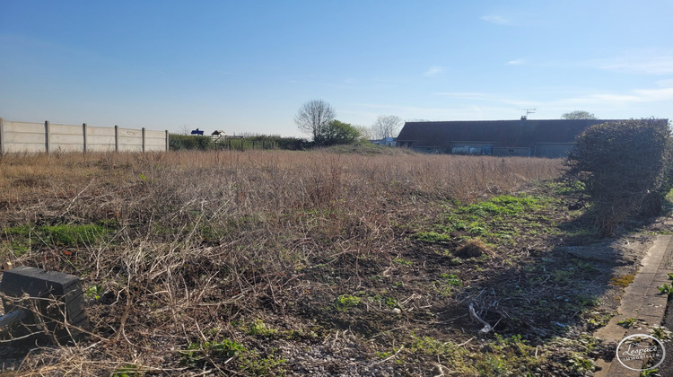 Ma-Cabane - Vente Terrain Zutkerque, 1265 m²