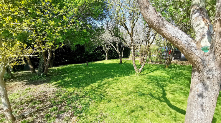 Ma-Cabane - Vente Viager Cheverny, 224 m²