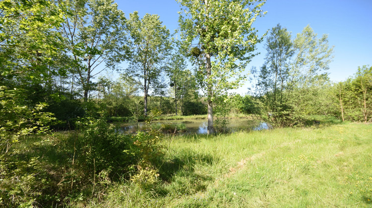 Ma-Cabane - Vente Viager Louhans, 99 m²