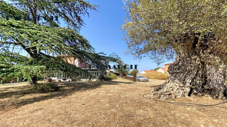Ma-Cabane - Vente Viager Pia, 328 m²