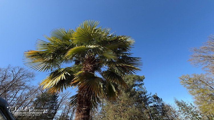 Ma-Cabane - Vente Viager ROMORANTIN LANTHENAY, 260 m²