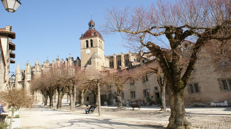 Ma-Cabane - Vente Viager Saint-Antoine-l'Abbaye, 140 m²