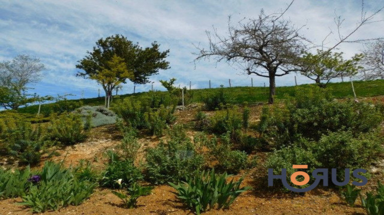 Ma-Cabane - Vente Viager Saint-Thomas-de-Conac, 108 m²