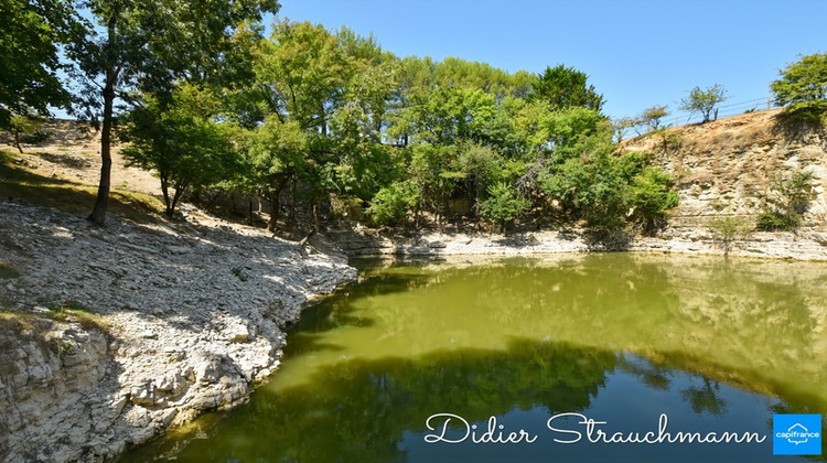 Ma-Cabane - Vente Viager SURGERES, 216 m²