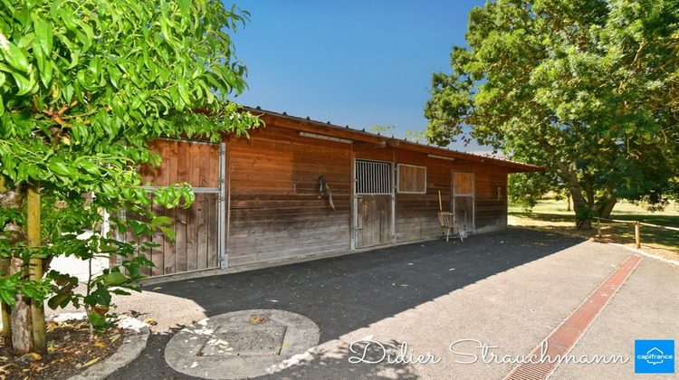 Ma-Cabane - Vente Viager SURGERES, 216 m²