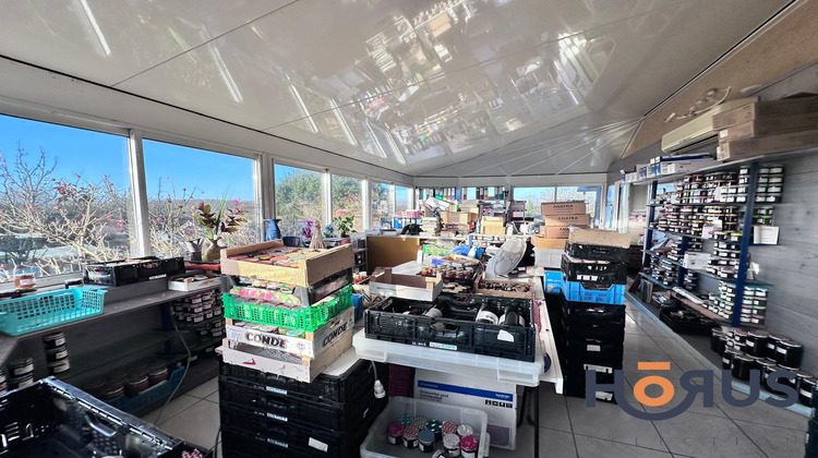 Ma-Cabane - Vente Viager Thoré-la-Rochette, 197 m²