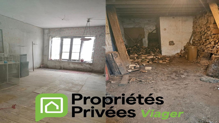 Ma-Cabane - Vente Viager VIOMENIL, 230 m²